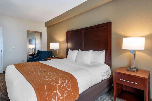 Comfort Suites Downtown Orlando image 18