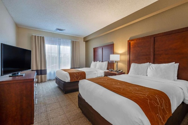 Comfort Suites Downtown Orlando image 26